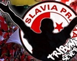www.slaviaultras.cz